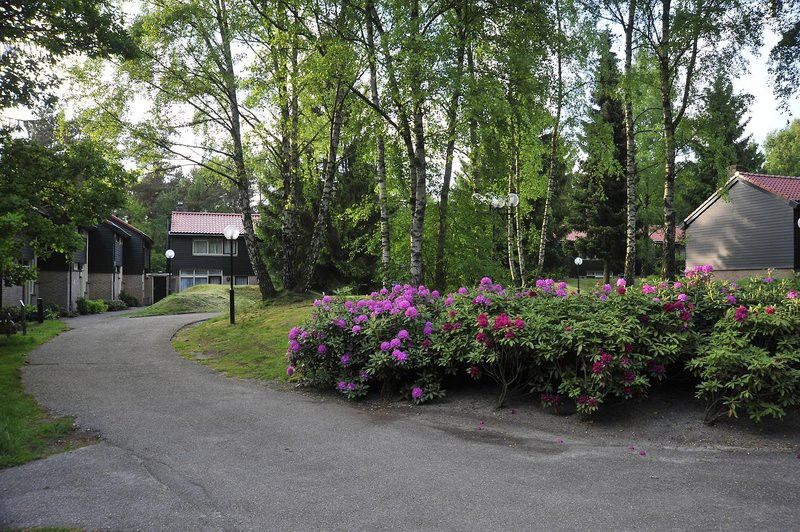 Fletcher Restaurant De Wipselberg-veluwe Hotel 4*